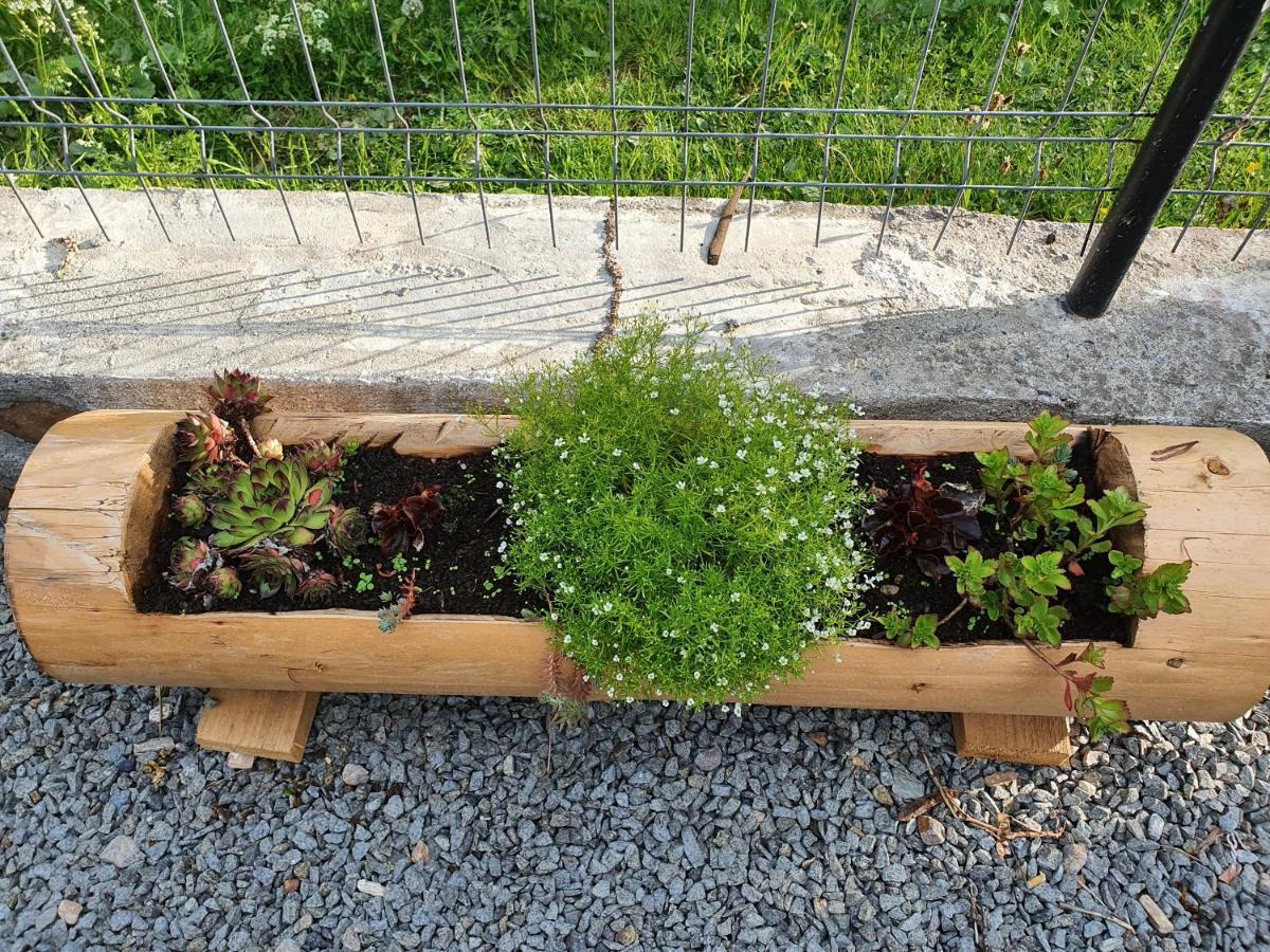 Baba Pensiune Agroturistica Casa Alex מראה חיצוני תמונה